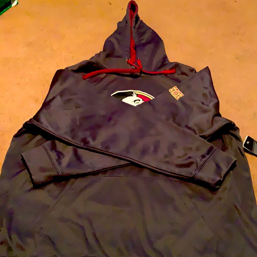 Grey Colosseum Florida State hoodie